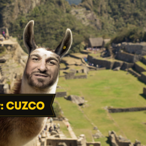 review cuzco