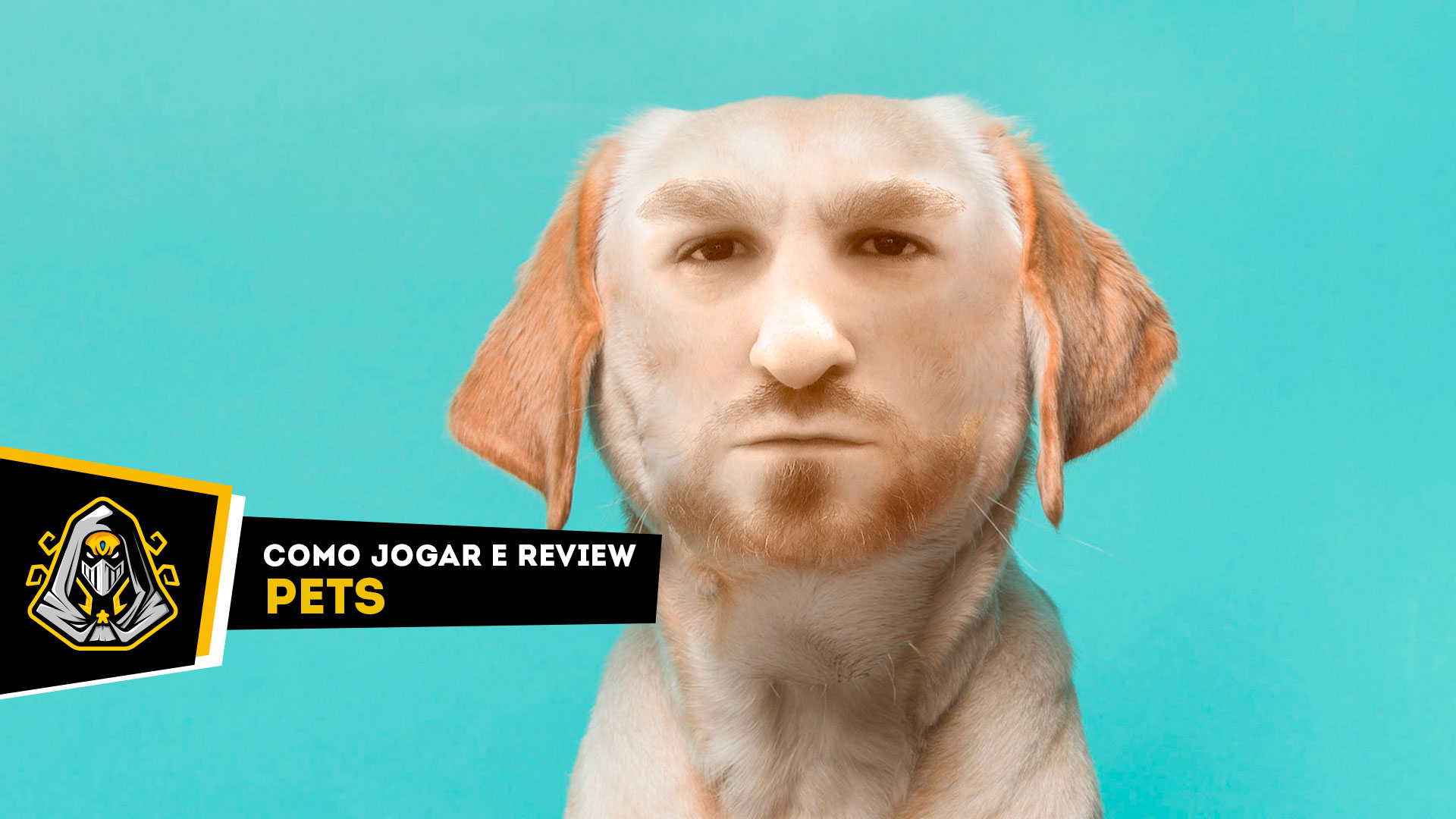 Pets (protótipo): como jogar e review
