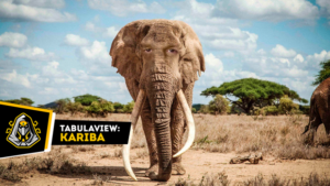 Tabulaview #54 - Kariba