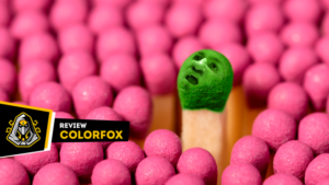 ColorFox: que jogo é esse?